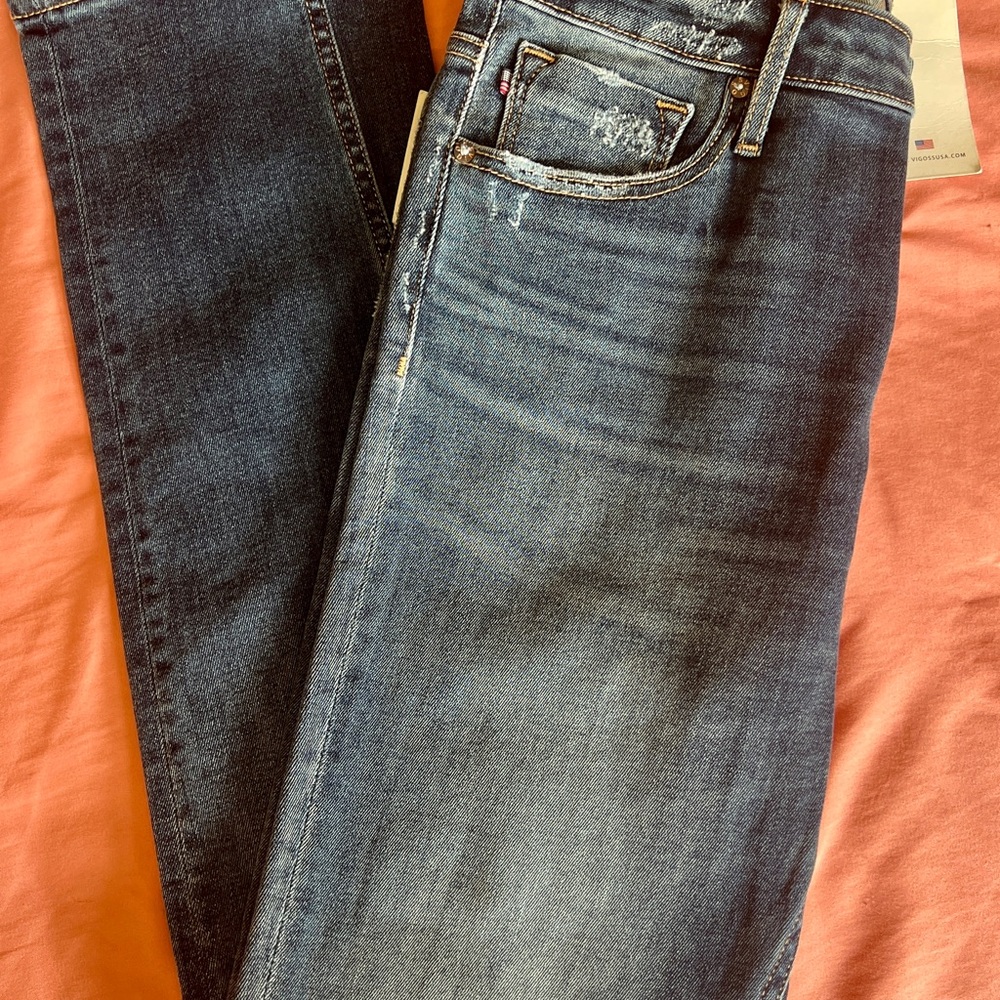 Vigors Ace: High Rise Skinny Jeans (size 31)